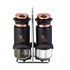 Set 2 recipiente pentru sare si piper 120 ml si suport din otel inoxidabil Black Rose Collection Berlinger Haus BH 1994