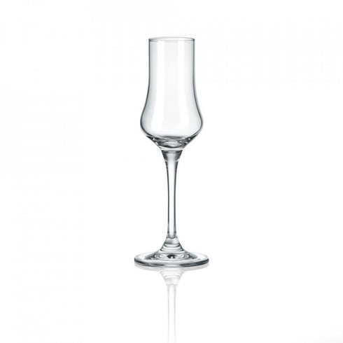 Set Pahare aperitiv Rona Grappa 6050 100ml